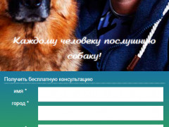 wise-animalrumobilep1.jpg