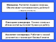 вертикальная организация
