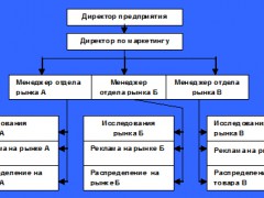 региональная организация